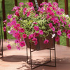 American Gardenworks American Gardenworks