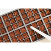 PlantBest 72-Cell Plastic Greenhouse Seed Starter Kit 3454 755704