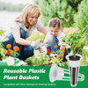 AeroGarden Grow Anything 6-Seed Pod Kit 806528-4408 709129