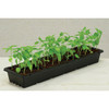 PlantBest 36-Cell Plastic Windowsill Greenhouse Seed Starter Kit 3455 756115