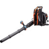 Senix 4QL 49cc 4-Cycle Gas Powered Backpack Leaf Blower BLB4QL-M