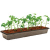 PlantBest 16-Cell Coir Seed Starter Kit 3449 718887