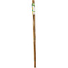 Gardener's Blue Ribbon 4 Ft. Bamboo Plant Stake (12-Pack) BB4N 743871