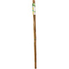Gardener's Blue Ribbon 4 Ft. Bamboo Plant Stake (12-Pack)