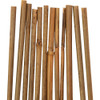 Gardener's Blue Ribbon 4 Ft. Bamboo Plant Stake (12-Pack) BB4N 743871