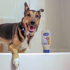PetArmor Plus 18 Oz. Tropical Breeze Scent Flea & Tick Oatmeal Dog Shampoo 183118 751359