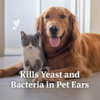 Pet Armor 4 Oz. Ear Rinse for Dogs & Cats 183105 729015
