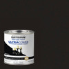 Painter's Touch Stn Cany Blk Paint 267249