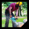 Oregon Chainsaw Safety Helmet Combination 563474-21 722157
