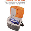 Ergodyne Orange & Gray Industrial Hard Sided Cooler - 17 Quart 5170