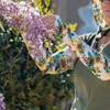 Farmers Defense Garden Flowers Protection Sleeves, Small-Medium SLV-GFL-SM 714076