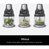 Ninja Express Chop 2 Cup Food Chopper NJ100GR 614967