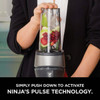 Ninja Nutri-Ninja Fit Personal Blender QB3001SS 623193