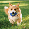 Nerf Dog 5 In. TPR EXO Micro Squeak Football 6026 728787
