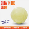 Nerf Dog 2.5 In. TPR Glow Sonic Ball 3070 742981