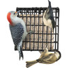 Suet Plus Woodpecker Blend Suet (10-Pack)