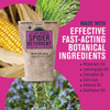 EarthKind Fresh Cab Spider Deterrent (4-Pack) SPD4P36D6 733617