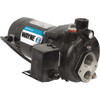 Wayne 3/4 HP Convertible Jet Well Pump CWS75