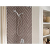 Moen Chrome 6-Function 4 In. Dia. Spray Head Handheld Shower 218H0 427308