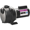 Wayne 1-1/2 HP Permanent Lawn Sprinkling Pump WLS150