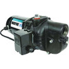 Wayne 3/4 HP Shallow Well Jet Pump SWS75