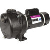 Wayne 2 HP Permanent Lawn Sprinkling Pump WLS200