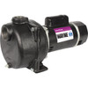 Wayne 2 HP Permanent Lawn Sprinkling Pump WLS200 Wayne 2 HP Permanent Lawn Sprinkling Pump WLS200