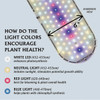 Ferry Morse 15.75 In. LED Under-Shelf Grow Light KLED Pack of 6 723317