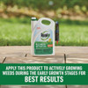 Roundup for Lawns Northern 1 Gal. Ready To Use Trigger Spray Weed Killer 5021005 742087