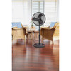Lasko 16 In. Black Pedestal Fan 2521 513437