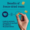 Stewart Shine 8 Oz. Freeze-Fried Salmon & Sweet Potato Dog Treat 405317 765267