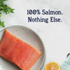 Stewart 2.75 Oz. Tub Wild Salmon Dog Treat 401805 766650