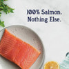 Stewart 2.75 Oz. Tub Wild Salmon Dog Treat 401805 766650