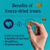 Stewart 3 Oz. Tub Freeze-Dried Chicken Liver Dog Treat 401704 746237