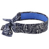 Ergodyne Cooling Bandana,One Size,Navy 6700CT