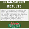 Jobe's Organics For Bountiful Succulents (12-Pack) 06703 743177