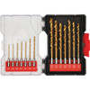 Do it Best 21-Piece Impact Ready Titanium Hex Shank Drill Bit Set QJDIB-PTASET-010 324794