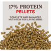 Kent Home Fresh Extra Egg Layer + Omega 50 Lb. Pellet Feed 3684 726355