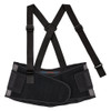 Ergodyne Heating-Cooling Back Support,Black,XS 1675