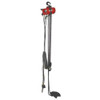 Dayton Air Chain Hoist,500 lb.Cap.,20 ft.Lift 29XL90