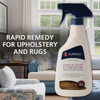 Guardsman 16 Oz. Stain & Odor Eliminator 462600 642933
