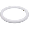 Satco 32W Equivalent 12 In. CCT-Selectable T9 Circline LED Tube Light Bulb S16511 543940