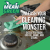 Mean Green 32 Oz. Super Strength Cleaner & Degreaser  932 646334