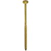 RSS 300ct 3-8x8" Strc Scrw 10287 243402