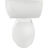 Briggs AltimaMAX White Round 1.28 GPF Toilet Express 7087 130 442329