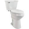 Briggs AltimaMAX White 19-1/8 In. Extra Tall Elongated 1.28 GPF Toilet Express
