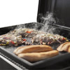 Weber Traveler 22 In. Gas Portable Griddle