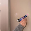 DAP DryDex 1 Oz. Nail Hole Filler Heavyweight Spackling 7079800944 796586