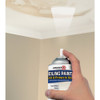 Zinsser 13 Oz. Bright White Ceiling Paint and Primer Spray