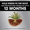 Roundup Dual Action 365 1.25 Gal. Exclusive Formula Refill Weed & Grass Killer 5377204 768433